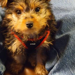 Meet your Posher, Judy